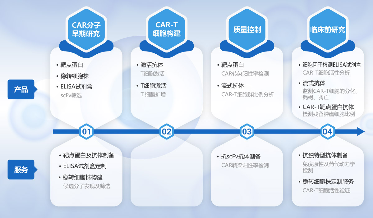 CAR-T细胞治疗开发解决方案