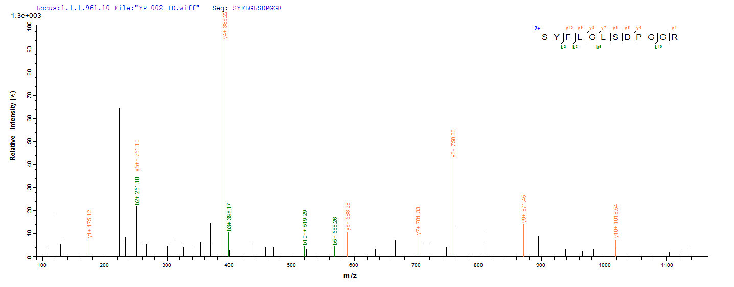 CSB-EP855470HU LCMS1