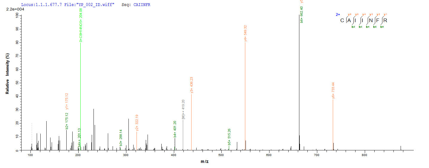 CSB-EP855470HU LCMS2