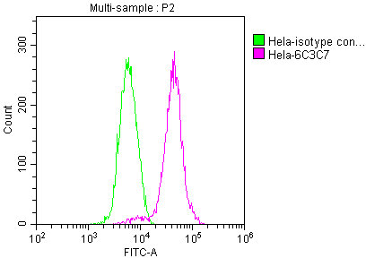 CSB-MA018072A0m-FC-1