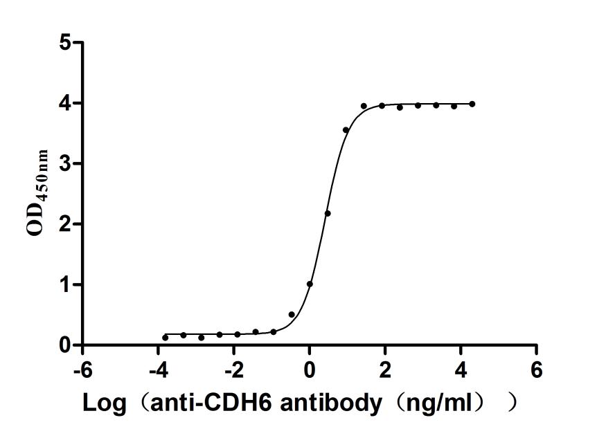 CSB-MP005055HU1 ELISA