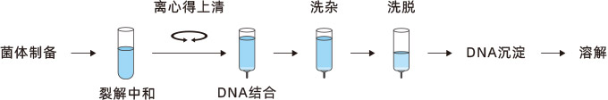 操作流程